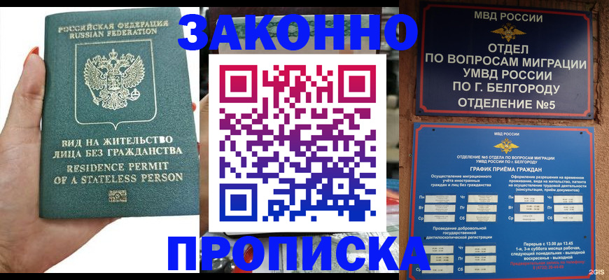 прописка для кредита в Кашине